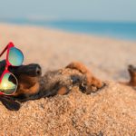 Dog lying on a sandy beach wearing sunglasses, relaxed and carefree — a lighthearted reminder to normalize mental health struggles during summer